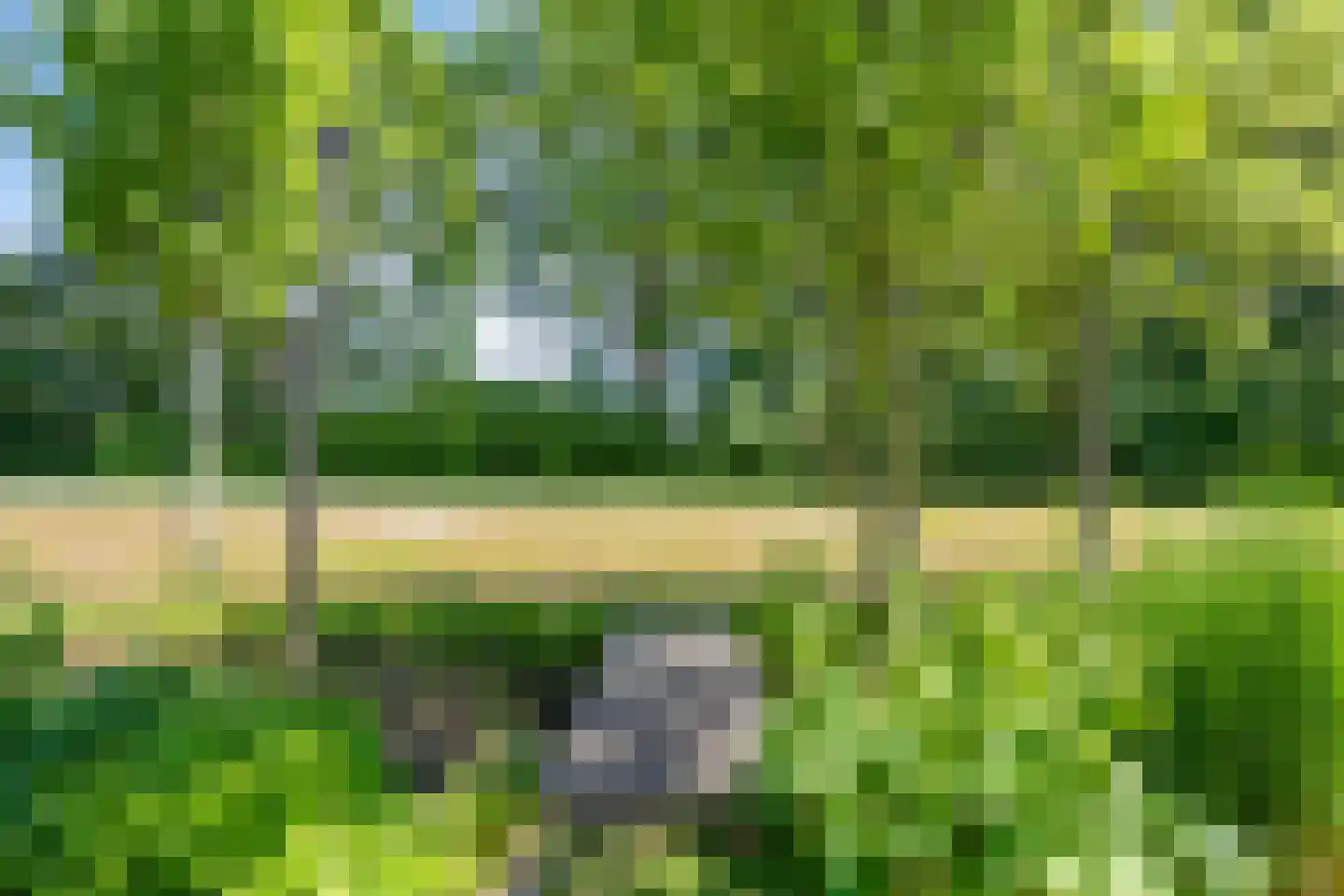 Evertshoeve 13 Veghel thumbnail 52