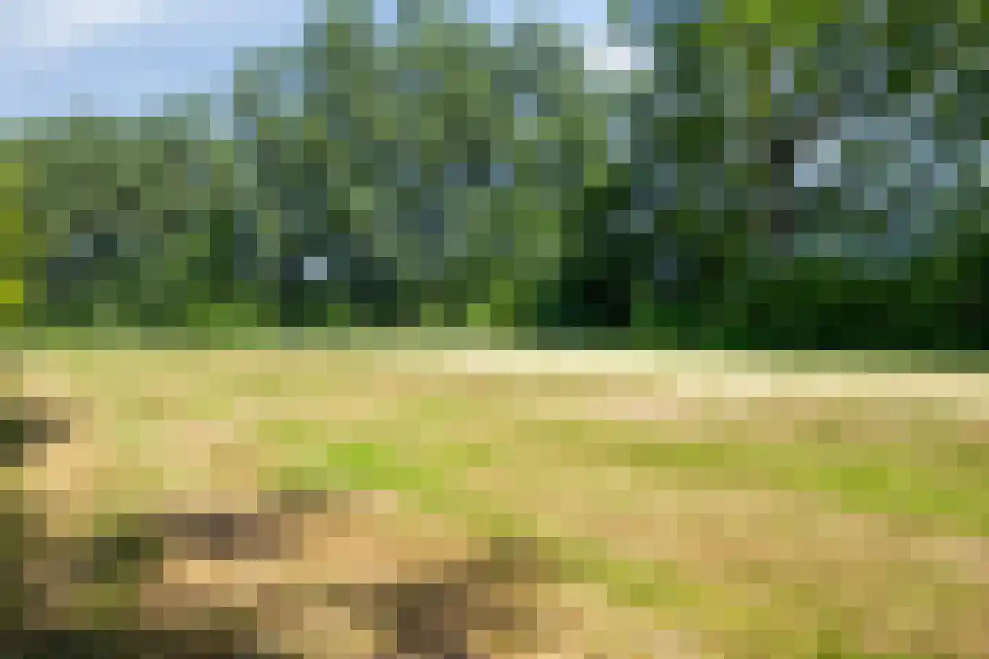 Evertshoeve 13 Veghel thumbnail 54