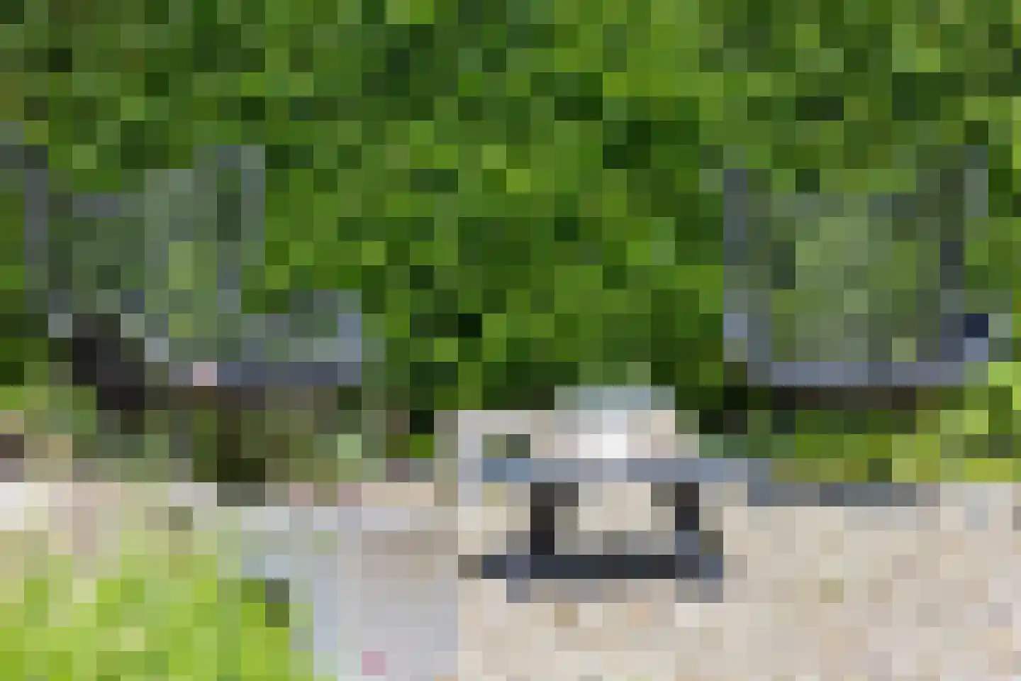 Evertshoeve 13 Veghel thumbnail 58