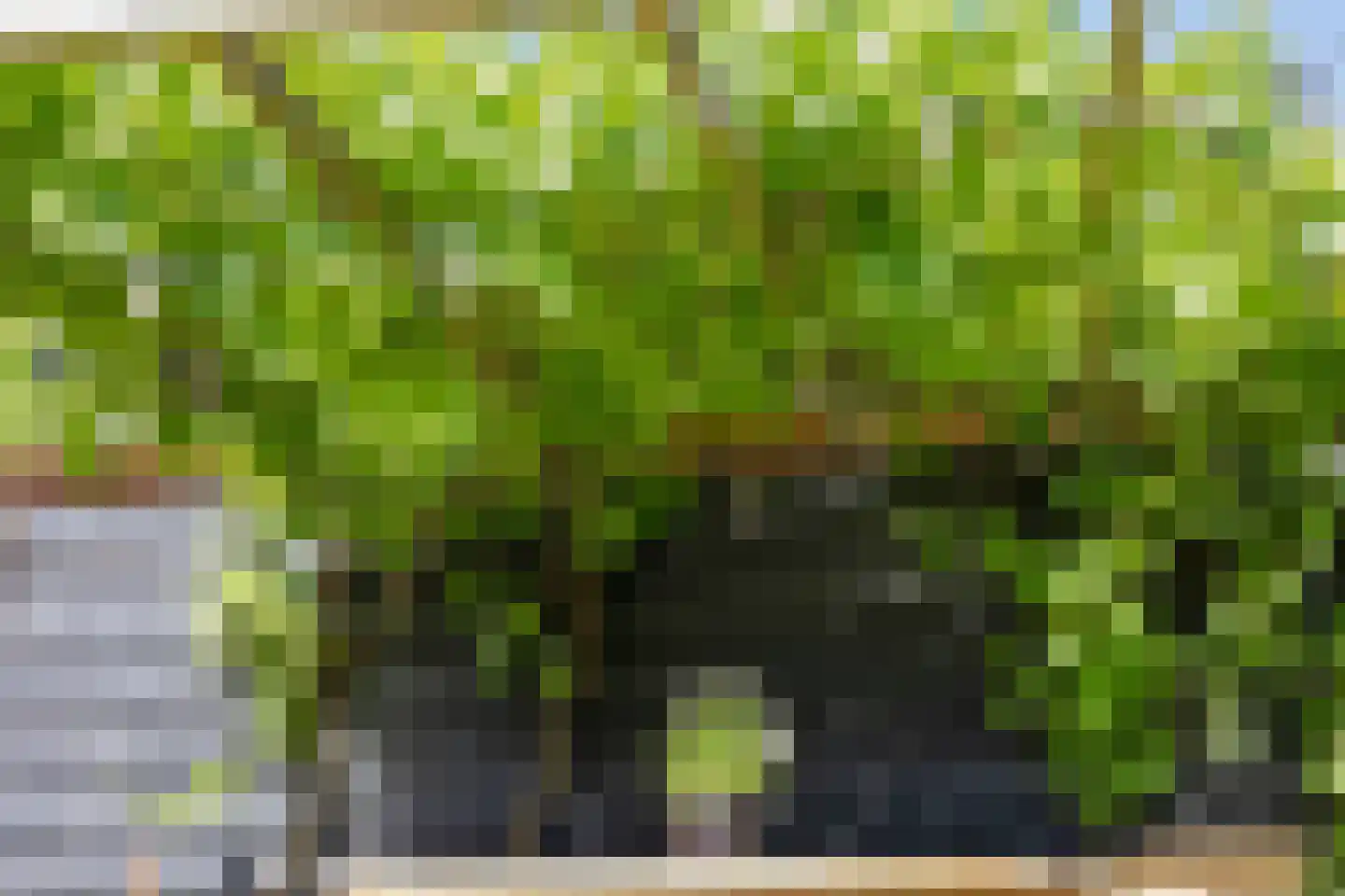 Evertshoeve 13 Veghel thumbnail 59