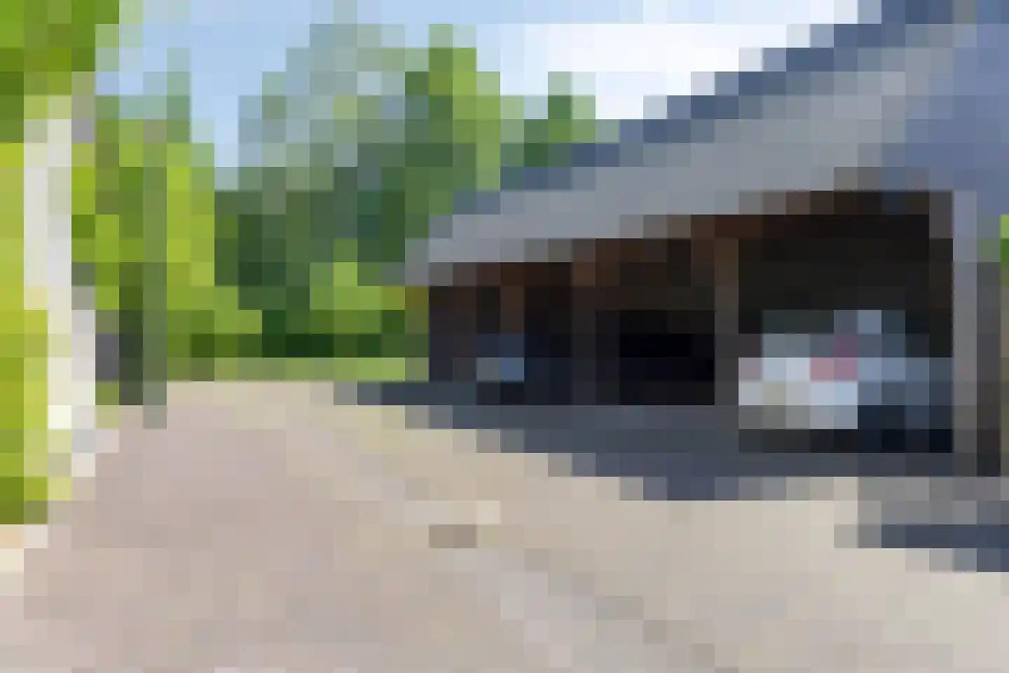 Evertshoeve 13 Veghel thumbnail 63