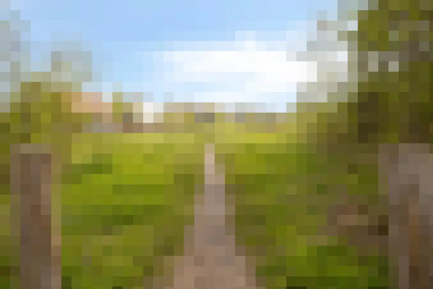 Evertshoeve 13 Veghel thumbnail 66