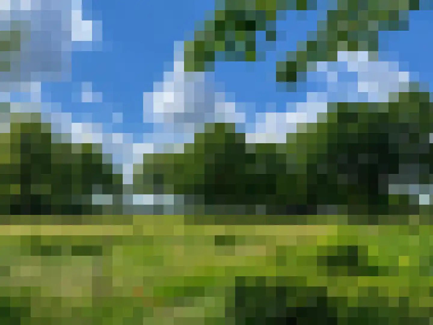 Evertshoeve 13 Veghel thumbnail 68