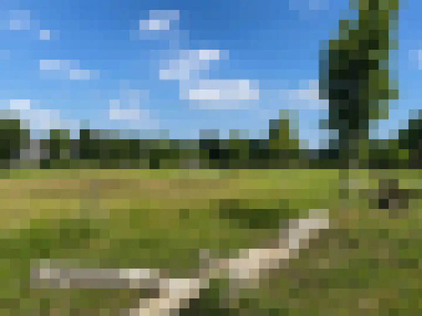 Evertshoeve 13 Veghel thumbnail 69