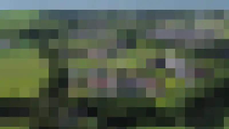 Evertshoeve 13 Veghel thumbnail 78