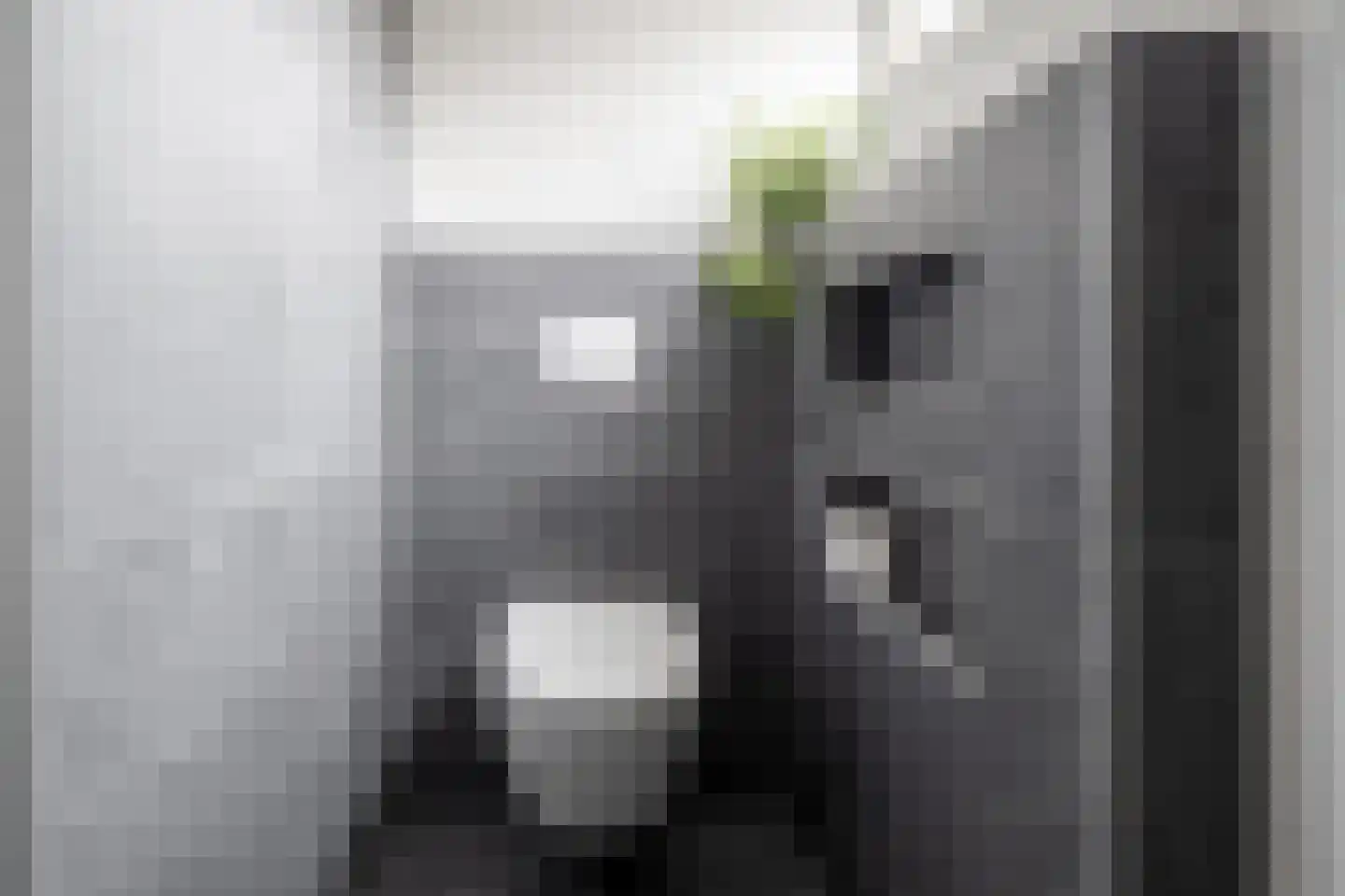 Evertskamp 10 Haarle thumbnail 20