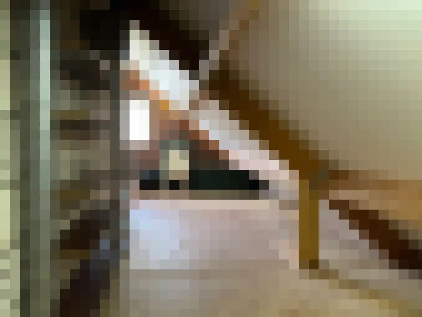 Evertskamp 10 Haarle thumbnail 29