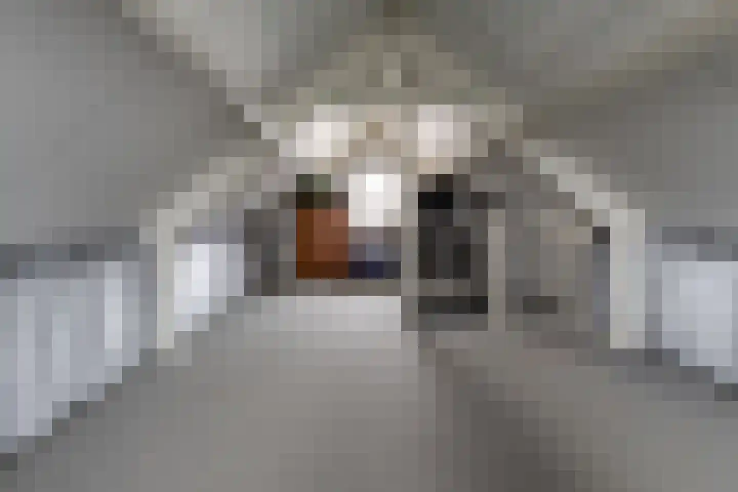 Evertskamp 10 Haarle thumbnail 32