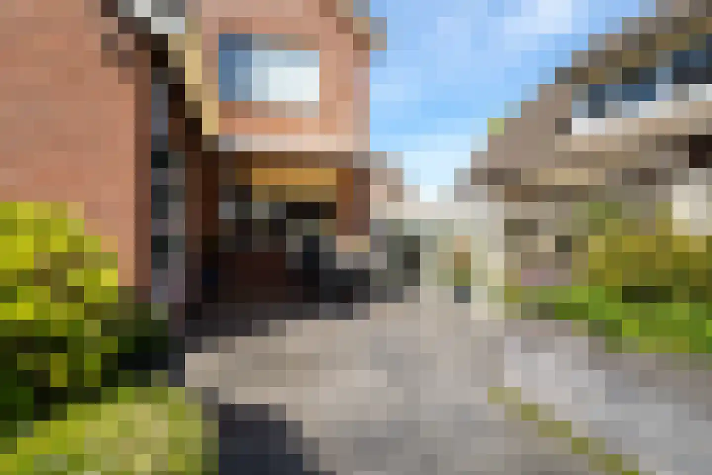 Evertskamp 10 Haarle thumbnail 36