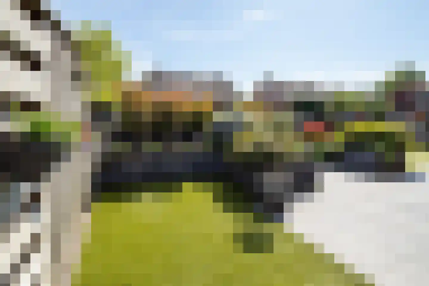 Evertskamp 10 Haarle thumbnail 38