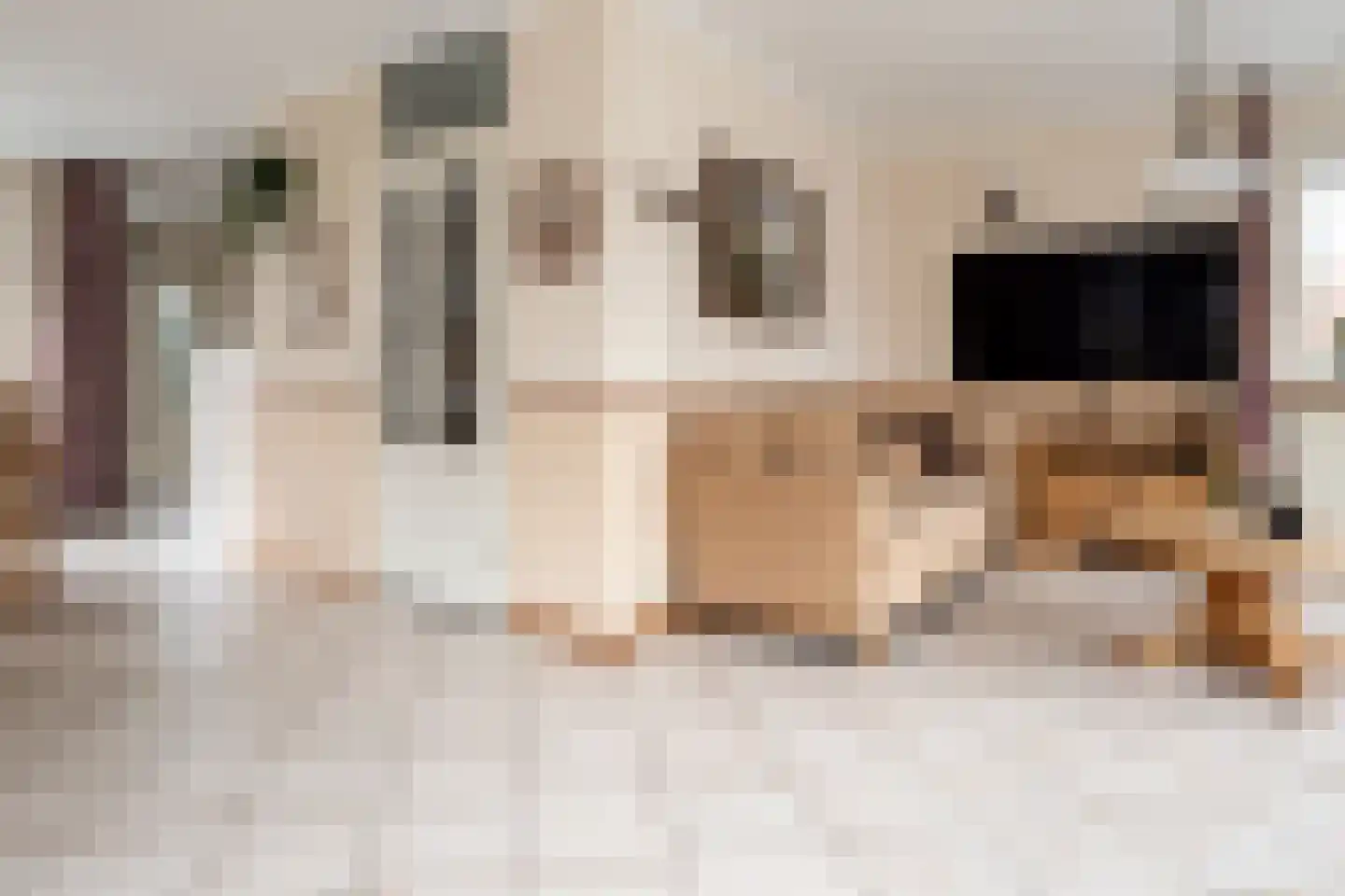 Evertskamp 10 Haarle thumbnail 7