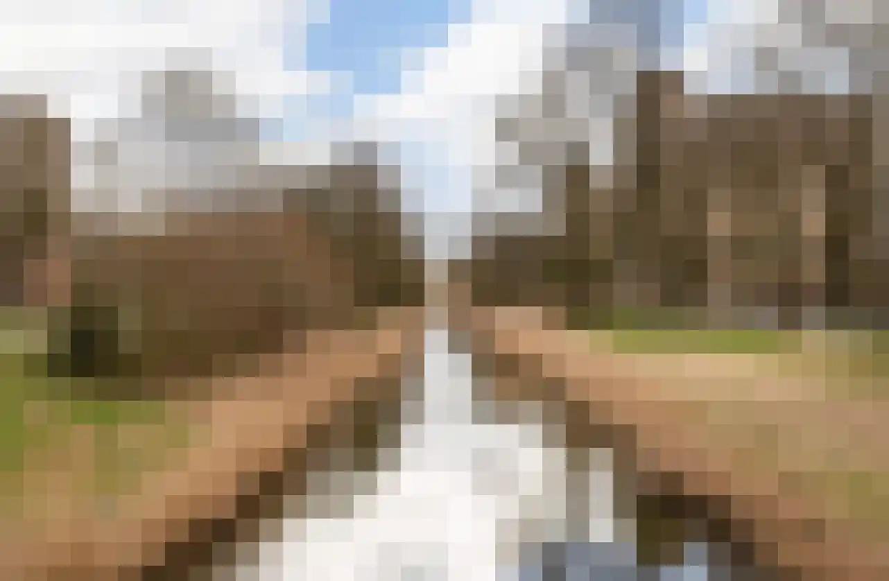 Evertsweertplantsoen 100 Amsterdam thumbnail 26