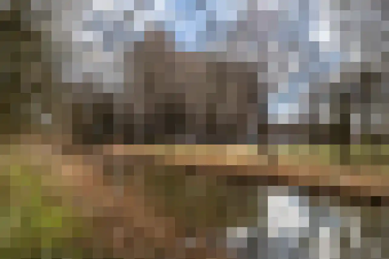 Evertsweertplantsoen 100 Amsterdam thumbnail 28