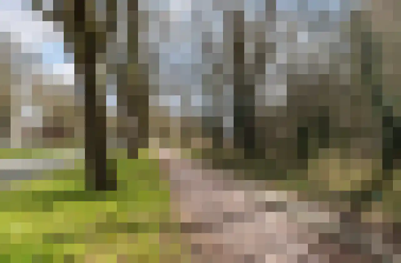 Evertsweertplantsoen 100 Amsterdam thumbnail 29