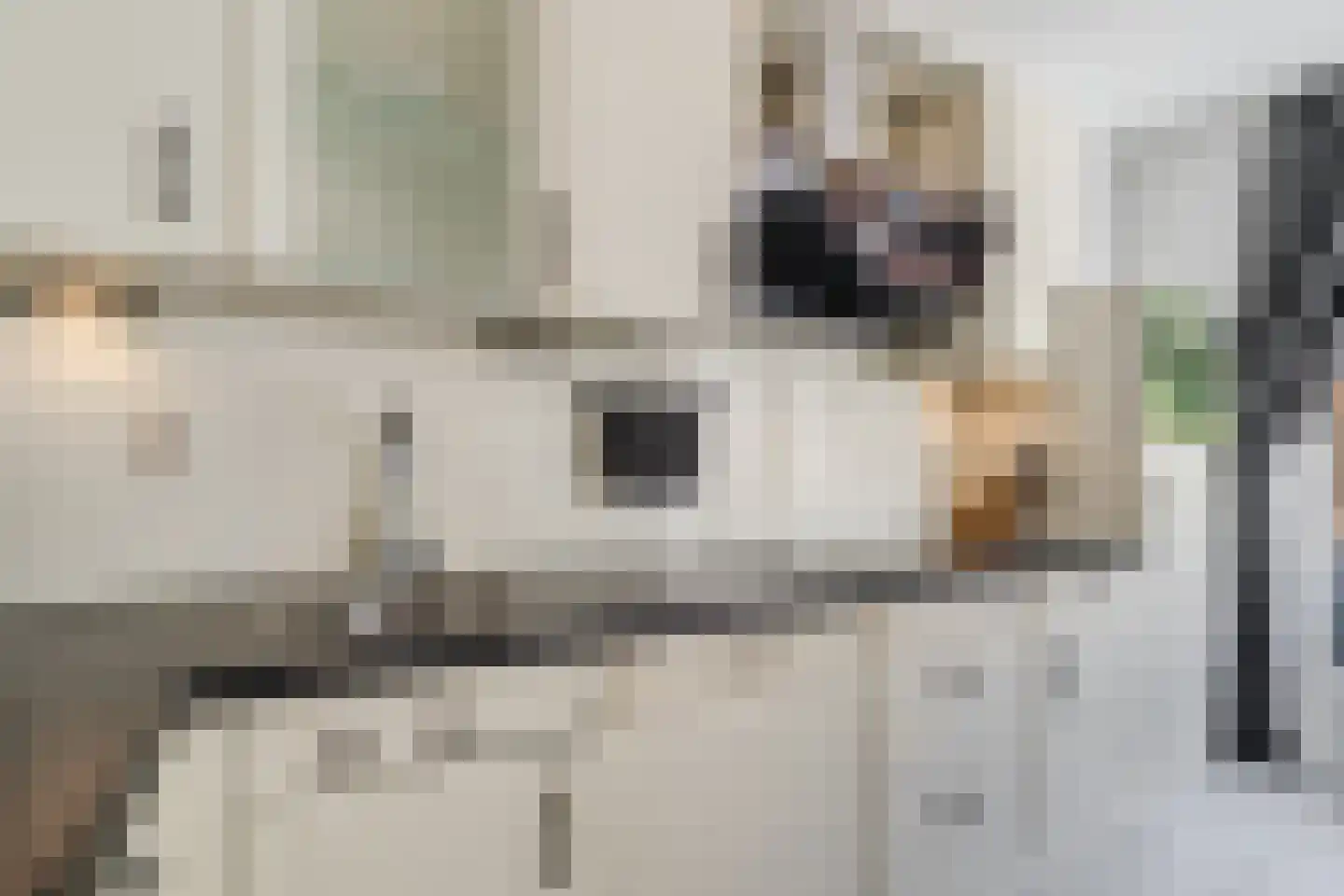 Evertsweertplantsoen 18 Amsterdam thumbnail 17