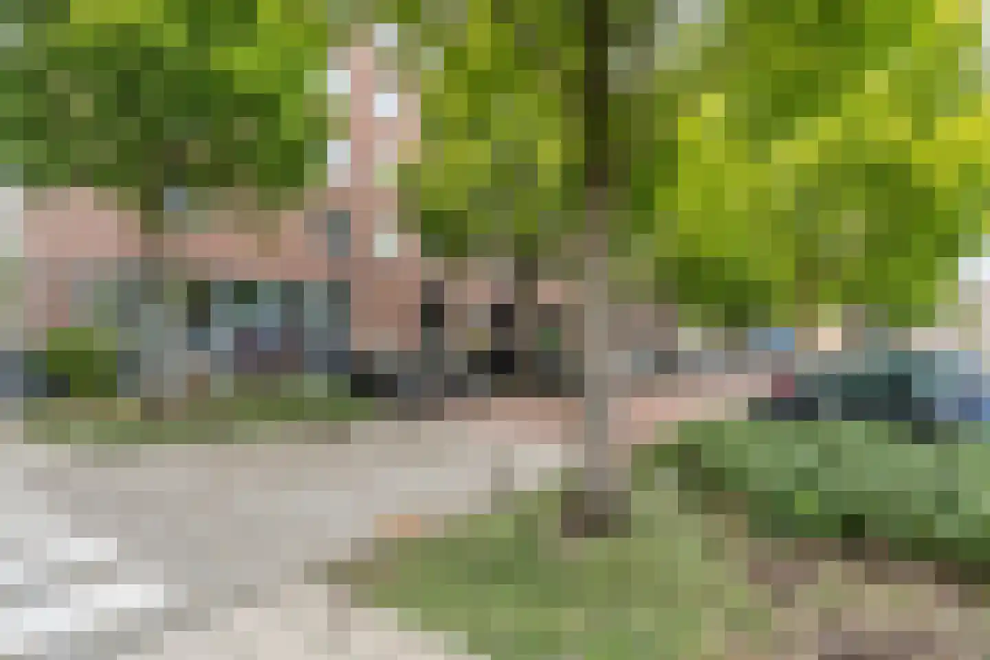 Evertsweertplantsoen 18 Amsterdam thumbnail 4