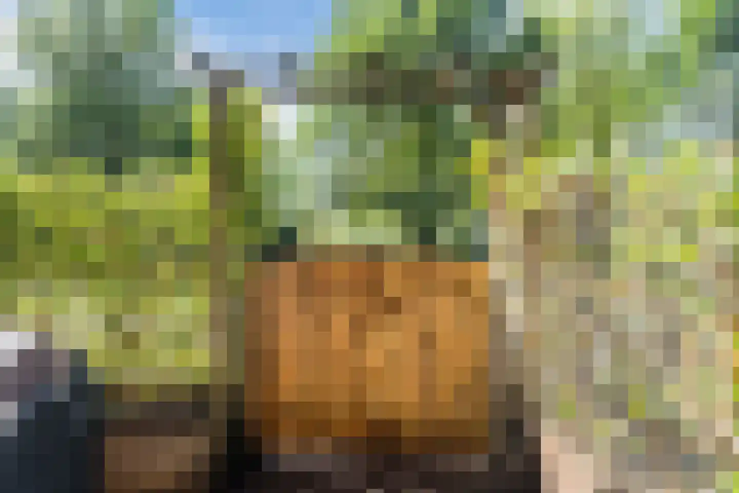 Evertsweertplantsoen 18 Amsterdam thumbnail 42