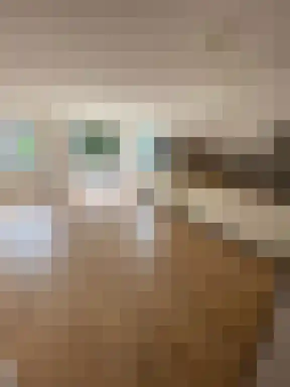 Evertsweertplantsoen 88 Amsterdam thumbnail 6