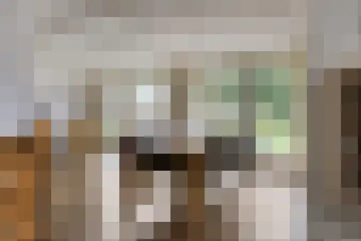 Evertswijk 15 Zevenhuizen thumbnail 11