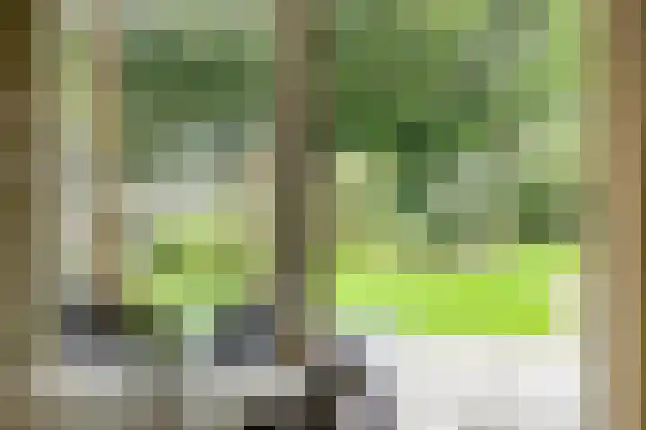 Evertswijk 15 Zevenhuizen thumbnail 12