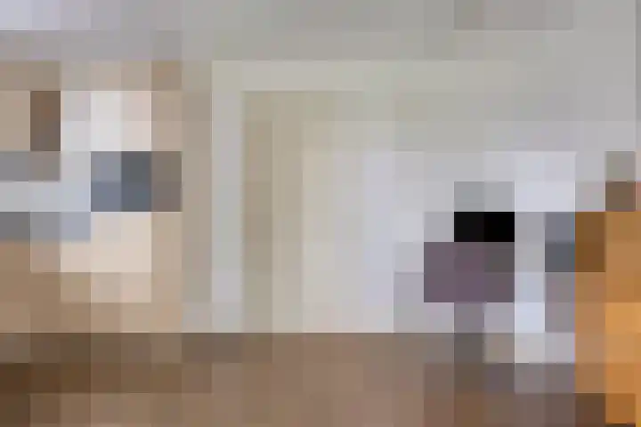 Evertswijk 15 Zevenhuizen thumbnail 13