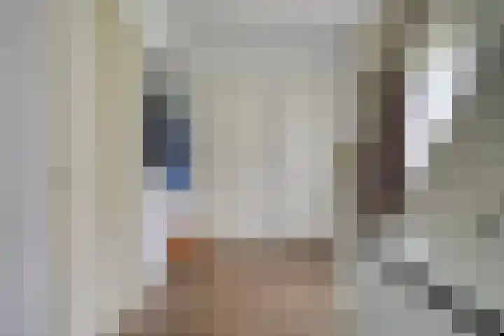 Evertswijk 15 Zevenhuizen thumbnail 18