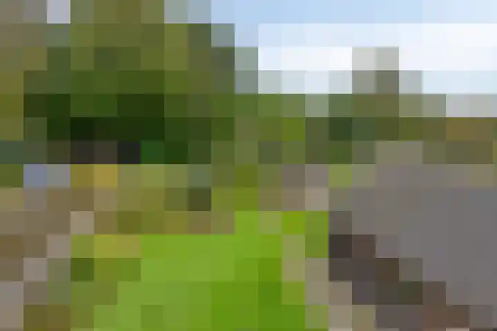 Evertswijk 15 Zevenhuizen thumbnail 30