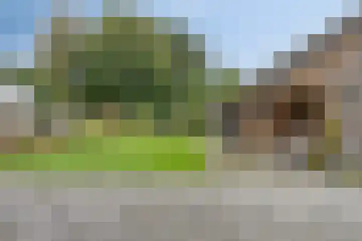 Evertswijk 15 Zevenhuizen thumbnail 31