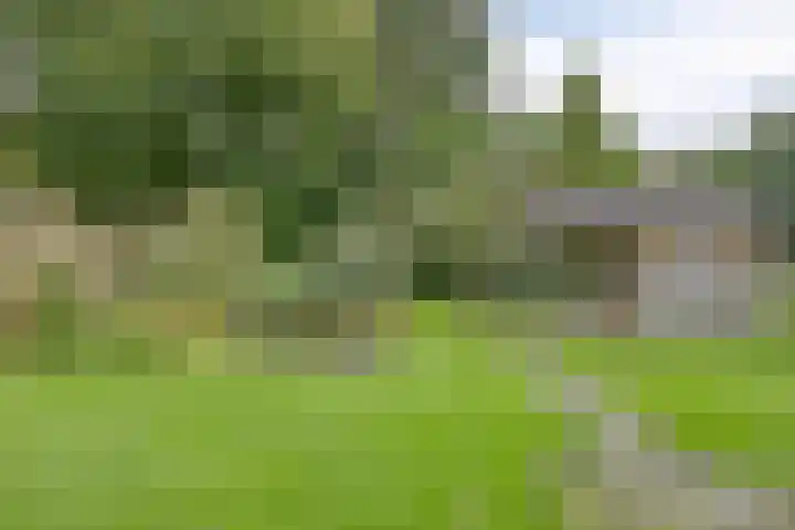 Evertswijk 15 Zevenhuizen thumbnail 32