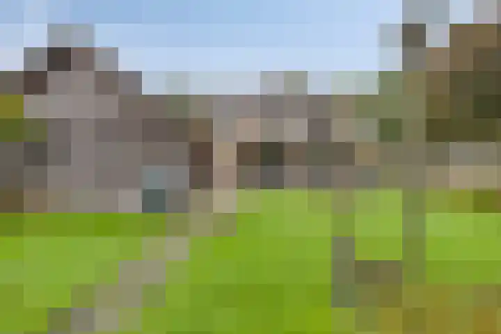 Evertswijk 15 Zevenhuizen thumbnail 34