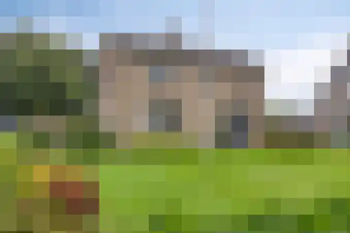 Evertswijk 15 Zevenhuizen thumbnail 39