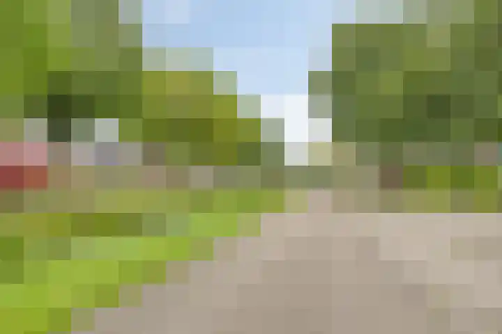Evertswijk 15 Zevenhuizen thumbnail 40