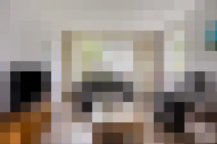 Evertswijk 15 Zevenhuizen thumbnail 6