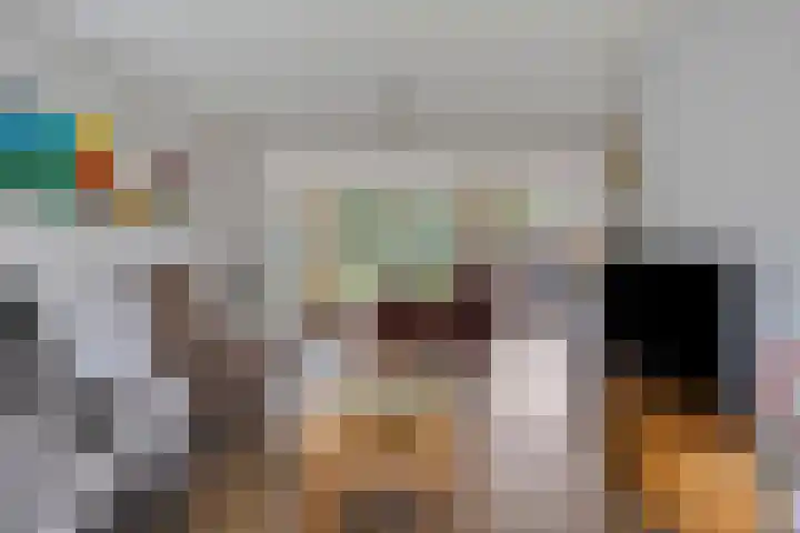 Evertswijk 15 Zevenhuizen thumbnail 7
