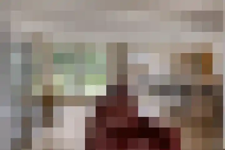 Evertswijk 15 Zevenhuizen thumbnail 8