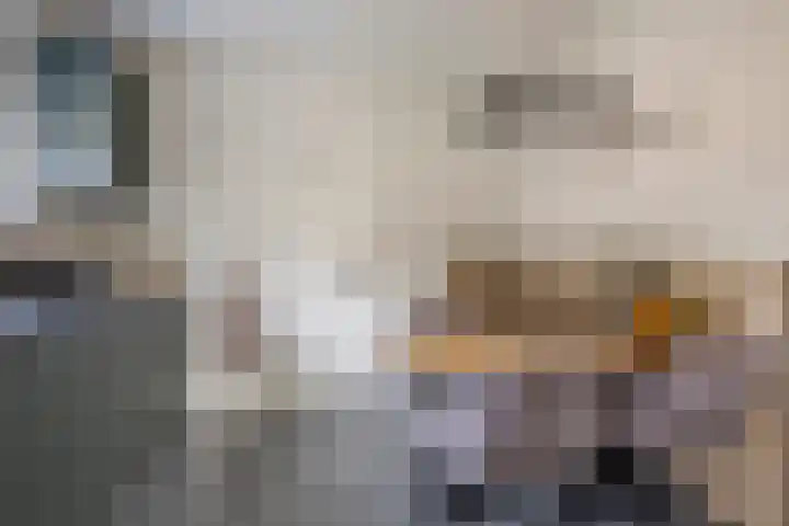 Evertswijk 8 I Zevenhuizen thumbnail 10