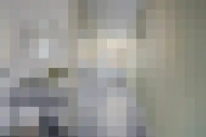 Evertswijk 8 I Zevenhuizen thumbnail 12