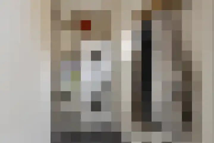 Evertswijk 8 I Zevenhuizen thumbnail 16
