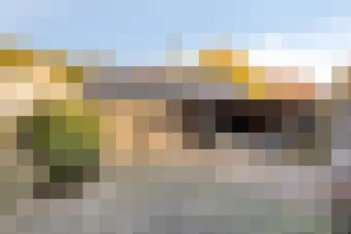 Evertswijk 8 I Zevenhuizen thumbnail 26