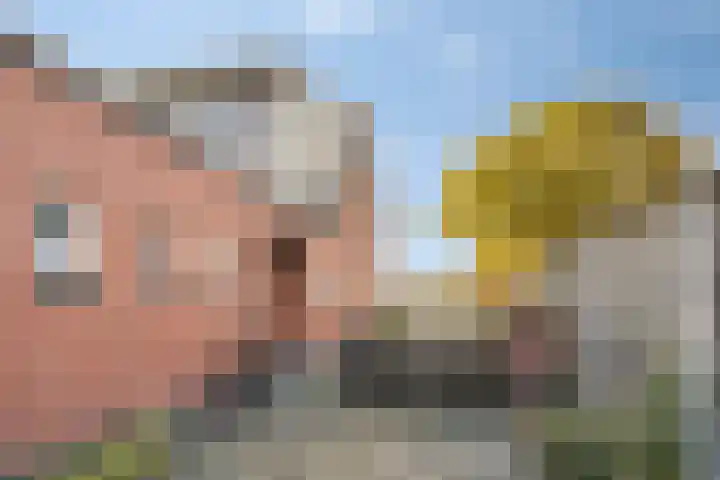 Evertswijk 8 I Zevenhuizen thumbnail 31