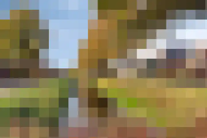 Evertswijk 8 I Zevenhuizen thumbnail 33