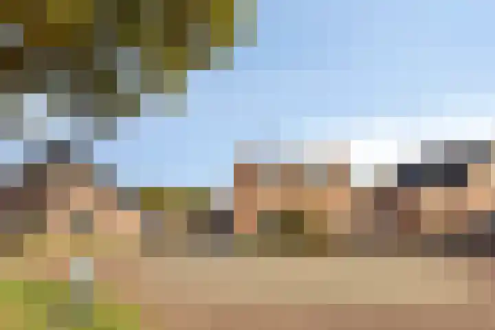 Evertswijk 8 I Zevenhuizen thumbnail 34