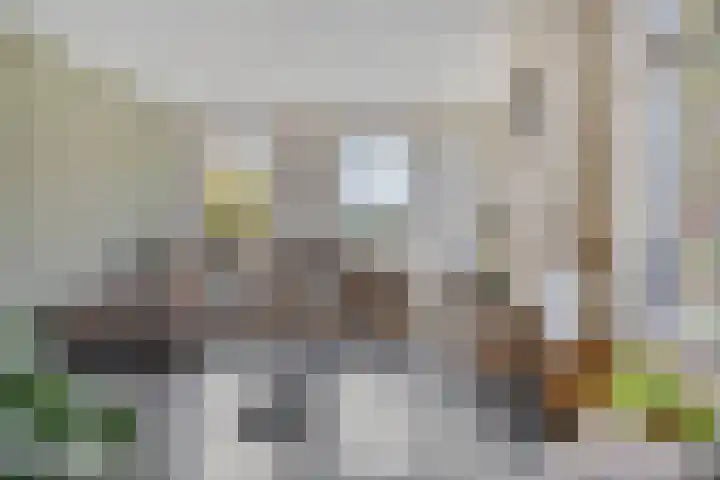 Evertswijk 8 I Zevenhuizen thumbnail 5