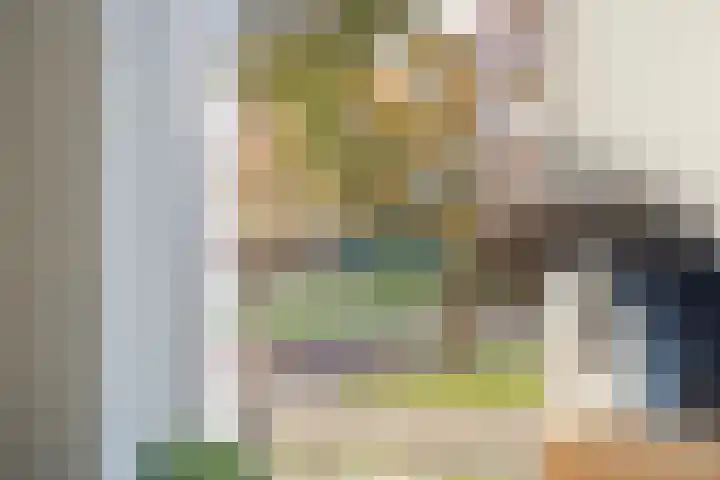 Evertswijk 8 I Zevenhuizen thumbnail 7