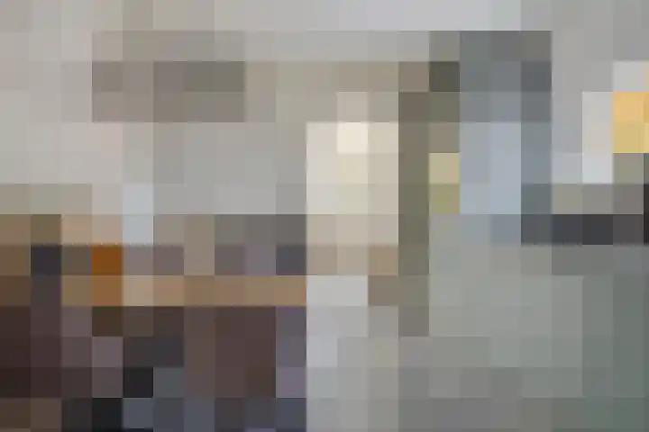 Evertswijk 8 I Zevenhuizen thumbnail 9