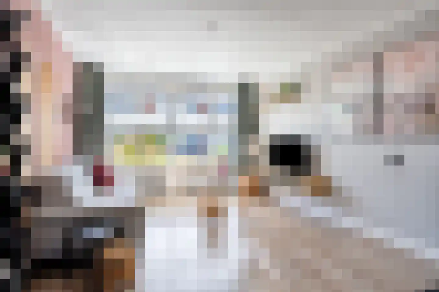 Evertzenstraat 24 Borne thumbnail 13