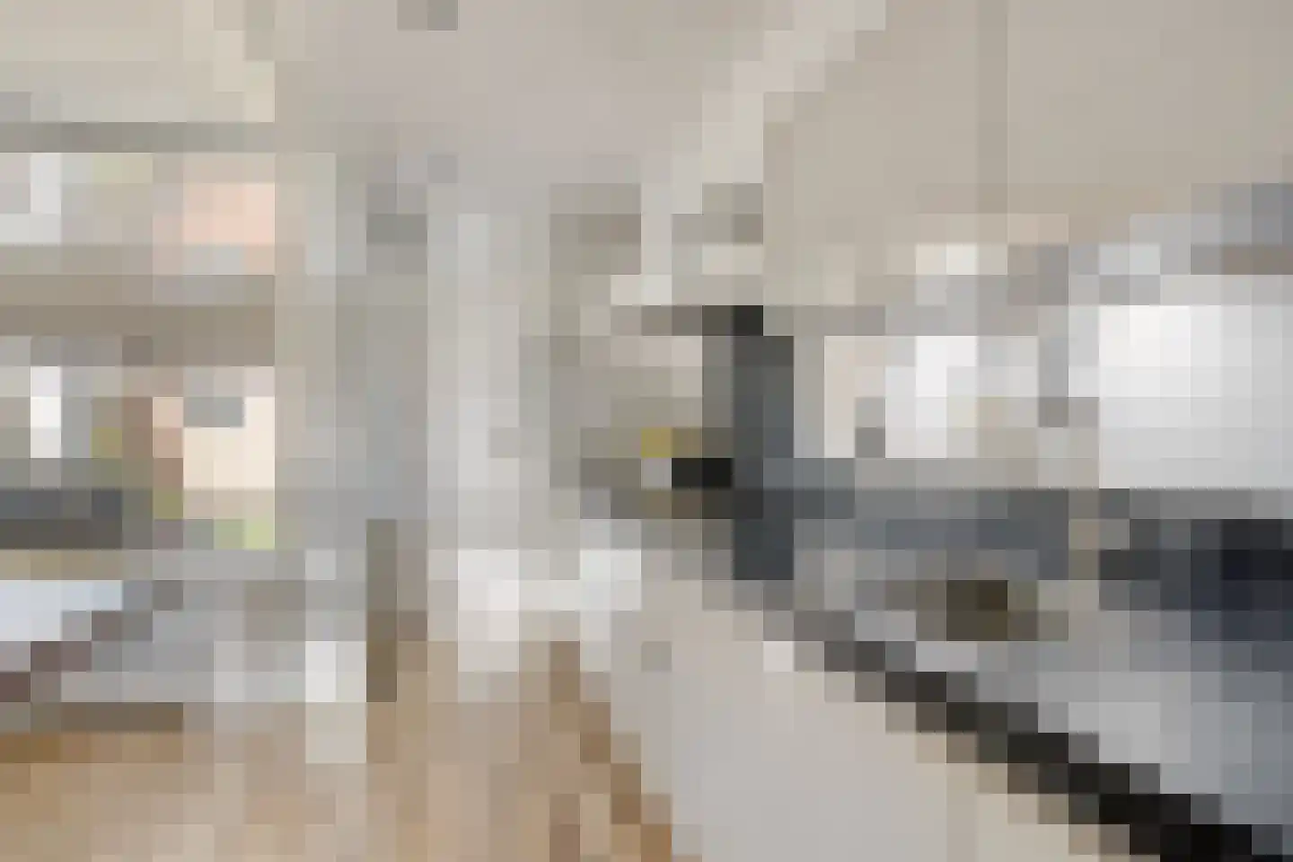 Evertzenstraat 24 Borne thumbnail 18
