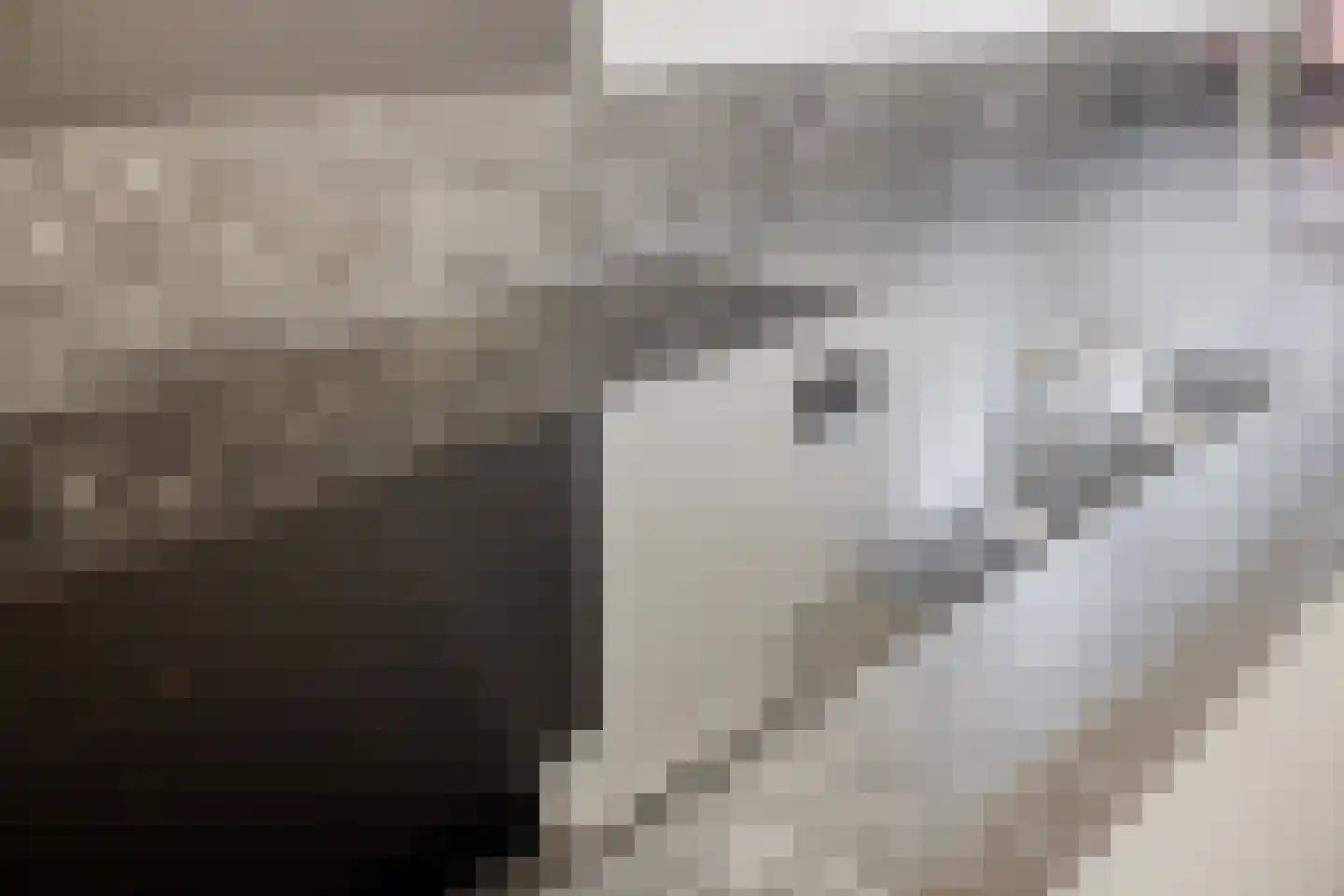Evertzenstraat 24 Borne thumbnail 21