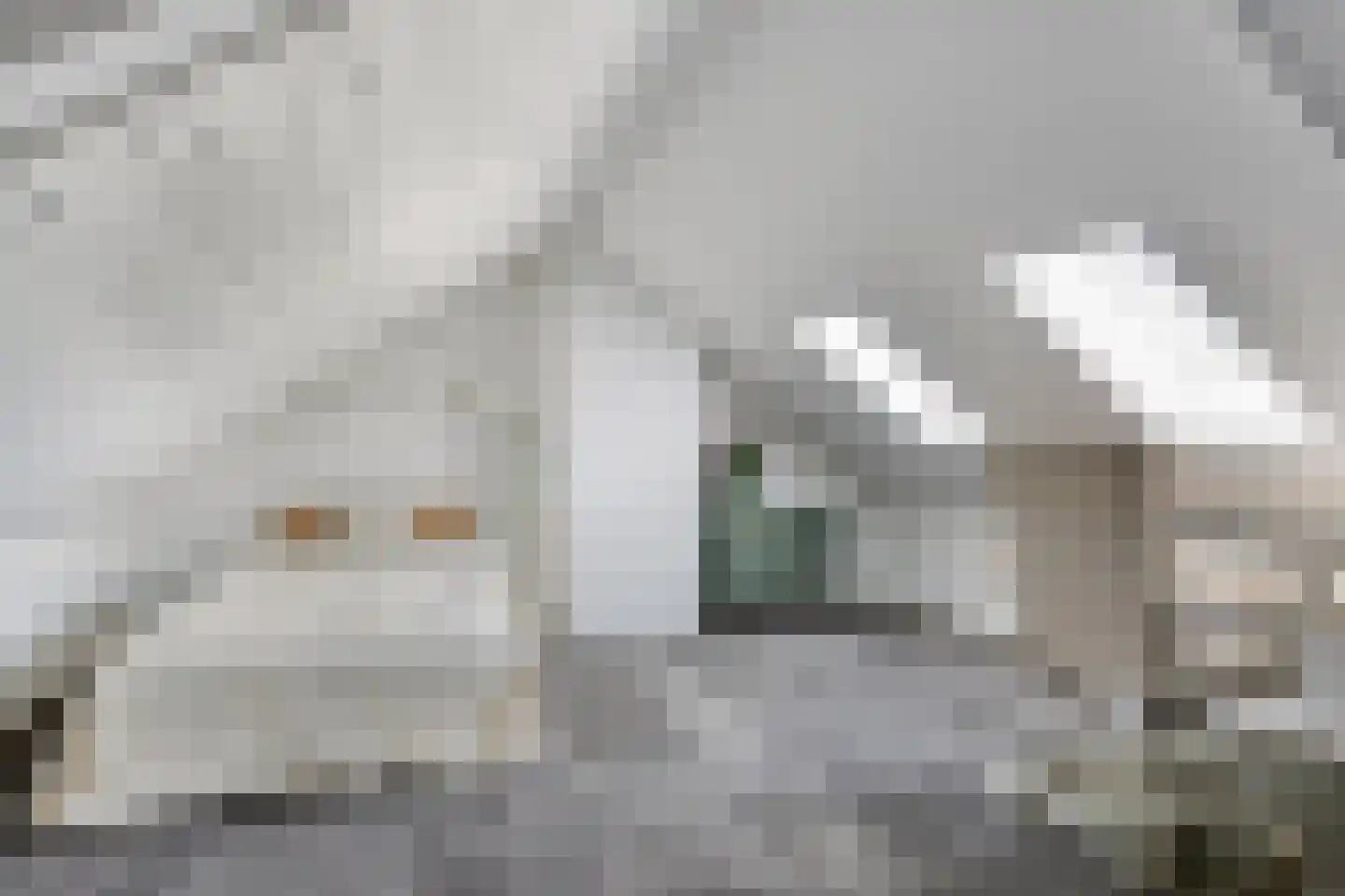 Evertzenstraat 24 Borne thumbnail 39