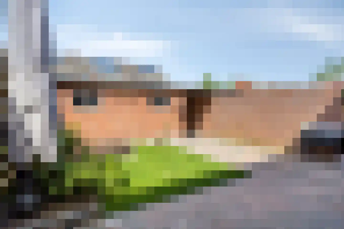 Evertzenstraat 24 Borne thumbnail 5